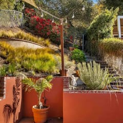 The Switchback | Above the city, around the bend